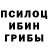 Псилоцибиновые грибы GOLDEN TEACHER Lisa McBride