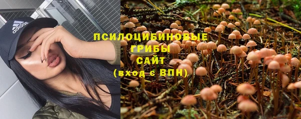 бутират Верея