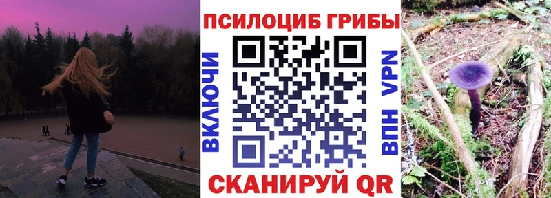 Псилоцибиновые грибы мухоморы  Купить  Ульяновск 